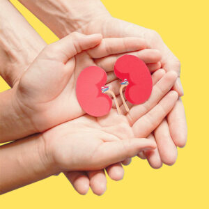 Kidney health featured